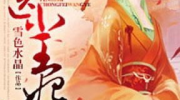 战王独宠神医俏王妃,神医俏王妃的传奇人生