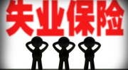 失业金一年可以领几个月,了解您的权益与期限